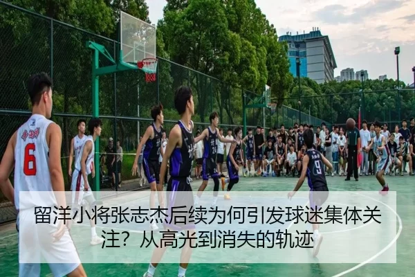 留洋小将张志杰后续为何引发球迷集体关注？从高光到消失的轨迹