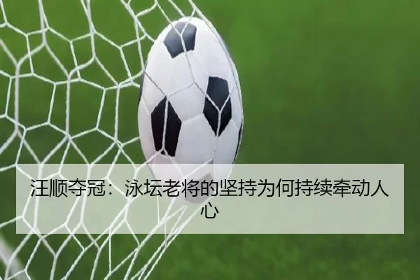 汪顺夺冠：泳坛老将的坚持为何持续牵动人心